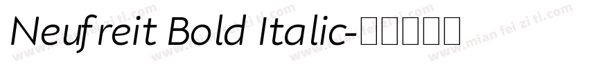 Neufreit Bold Italic字体转换